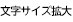 文字サイズ拡大